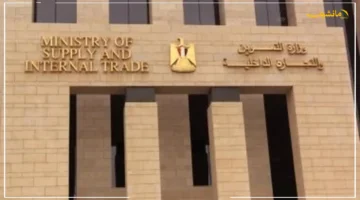 رسميًا.. هذا هو موعد صرف السلع المدعمة لأصحاب البطاقات التموينية لشهر أكتوبر 2025 1